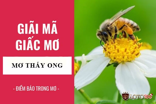 Mơ thấy ong đánh con gì?