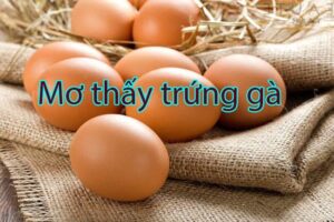 Mơ thấy trứng gà đánh con gì? Giải mã giấc mơ cùng Loto188