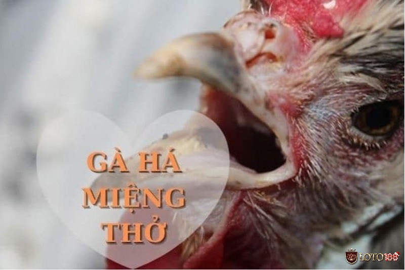 nấm họng gà là một bệnh khá phổ biến