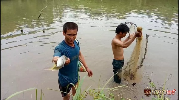 Mơ thấy bắt cá dưới ao tùy hoàn cảnh sẽ mang điềm tốt hay xấu