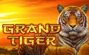 Grand Tiger: Game slot thú vị với RTP là 96% từ Amatic