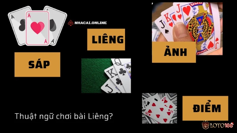 Khám phá chi tiết về thuật ngữ trong bài liêng cơ bản nhất cho người mới bắt đầu