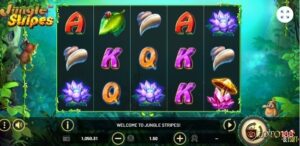 Jungle Stripes slot: RTP khủng 97,03%, nhiều tính năng hay