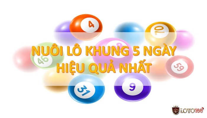 Nuôi lô khung 5 ngày đem về lợi nhuận khủng