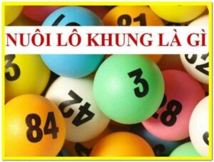 Nuôi lô khung là gì? Các phương pháp nuôi lô khung chuẩn xác