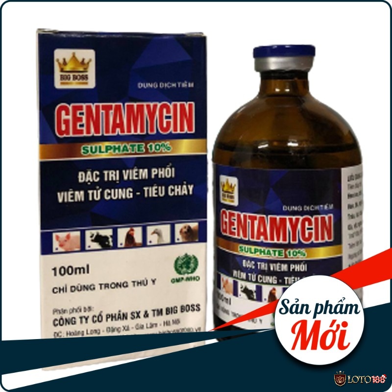 Sử dụng Gentamycin dạng nước nhỏ cho gà khoảng 2 lần/ngày 