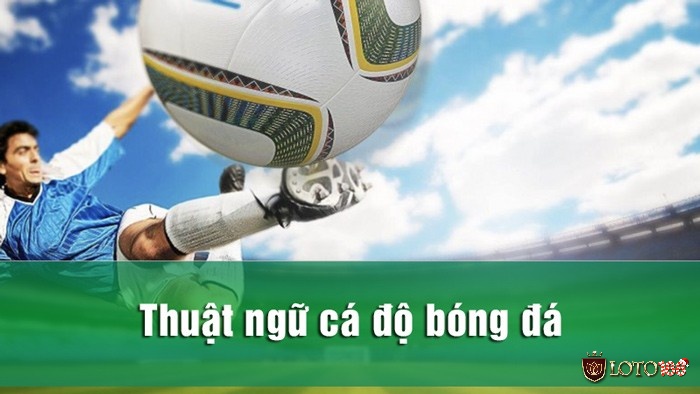 Thuật ngữ trong cá độ cho kèo châu Á