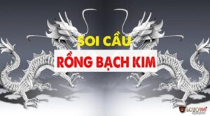 Soi cầu bạch kim là gì? Cách để soi cầu bạch kim hiệu quả nhất